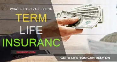 Understanding the Cash Value of High-Coverage Term Life Insurance