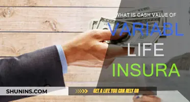 Understanding Variable Life Insurance Cash Value Benefits