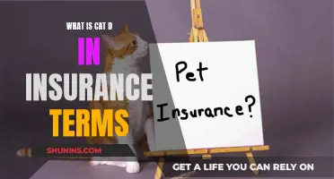 The Mystery of "Cat D" in Car Insurance: Unraveling the Acronym's Meaning and Its Impact