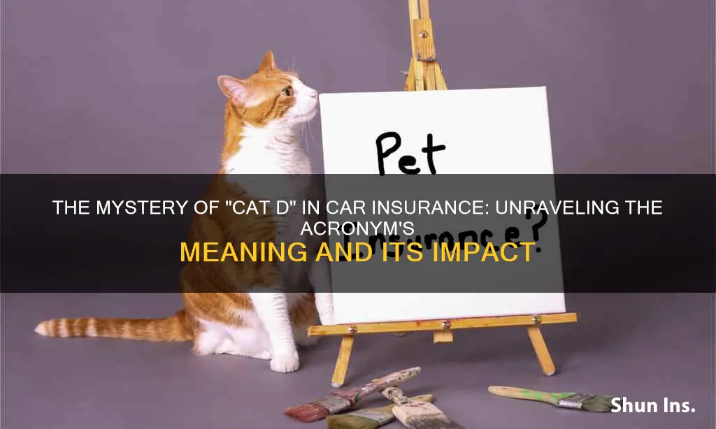 what is cat d in insurance terms