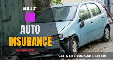 Understanding Auto Insurance: What is Cat 1 Coverage?