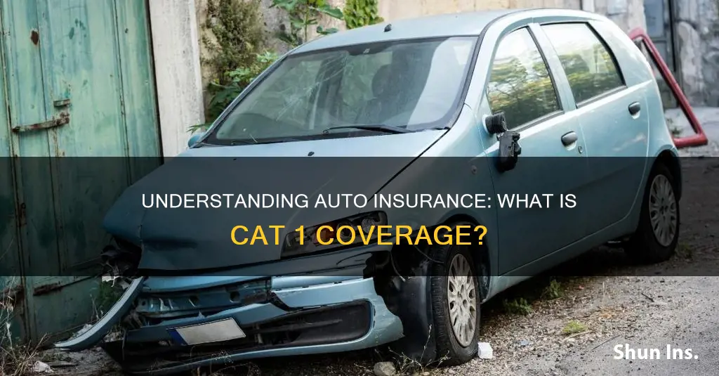 what is cat1 on auto insurance