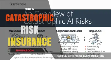 Understanding Catastrophic Risk Insurance: Protecting Against the Unthinkable