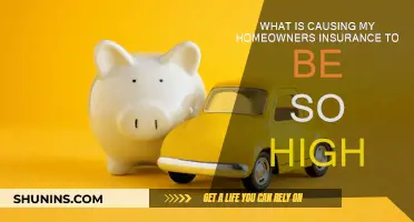Why is My Homeowners Insurance So Expensive?