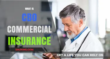 CBO Commercial Insurance: Protecting Your Business from Losses