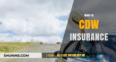 Understanding CDW Insurance: Coverage, Benefits, and Why It Matters