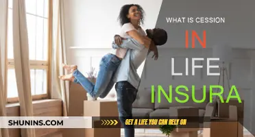 Understanding Cession: How It Impacts Your Life Insurance