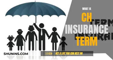 The Mystery of CH Insurance: Unraveling the Industry's Acronyms