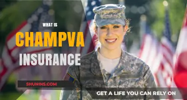 ChampVA Insurance: What Veterans Need to Know