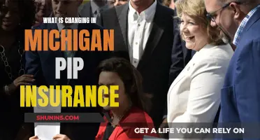 Michigan PIP Insurance: What's Changing?