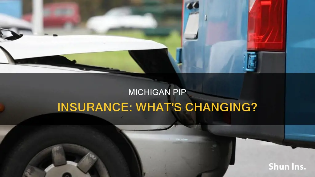 what is changing in Michigan pip insurance