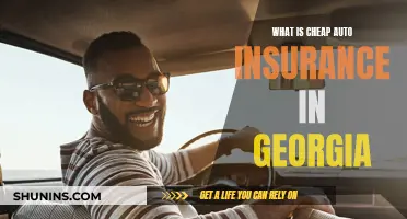 Auto Insurance in Georgia: Affordable Options and More