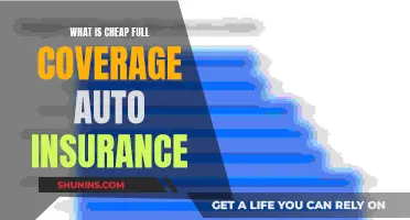 Full Coverage Auto Insurance: Cheap and Comprehensive