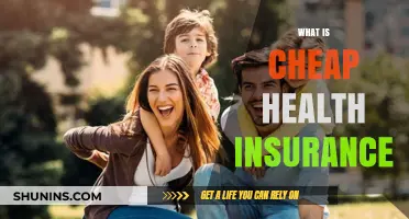 Affordable Health Insurance: Understanding Low-Cost Coverage Options and Benefits