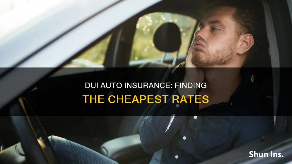 what is cheapest auto insurance if you have a dui