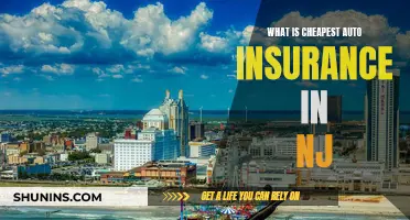 Finding Affordable Auto Insurance in New Jersey