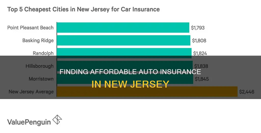 what is cheapest auto insurance in nj