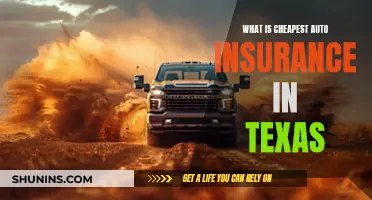 Best Cheap Auto Insurance in Texas: Save Money, Stay Covered