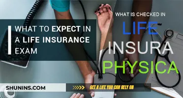 Life Insurance Physicals: What Examiners Check and Why