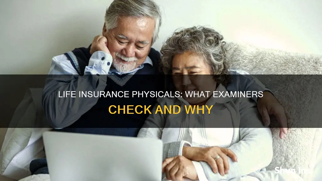 what is checked in life insurance physical