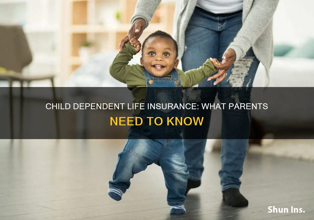 what is child dependent life insurance