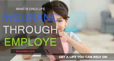 Child Life Insurance: Employer-Provided Coverage Explained