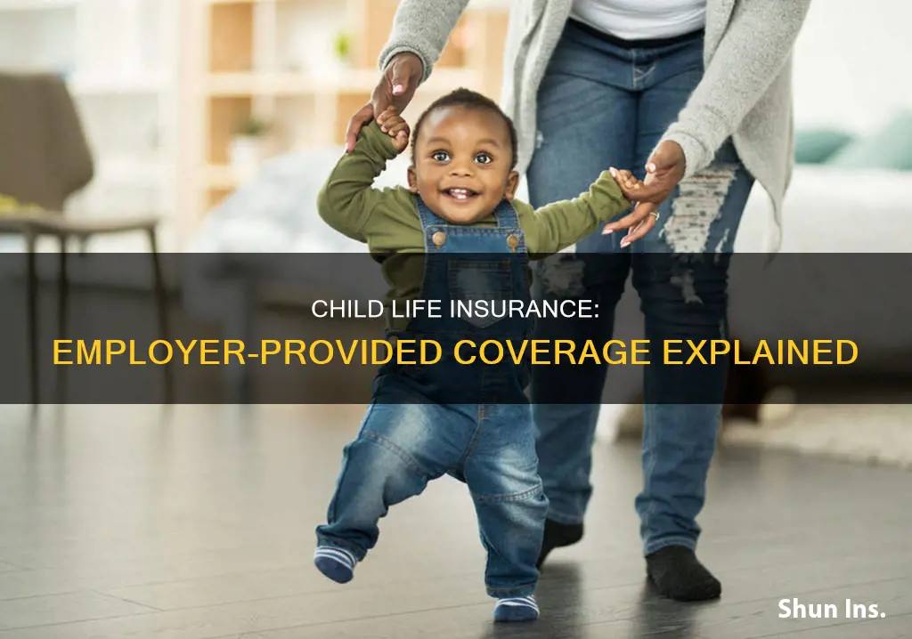 what is child life insurance through employer