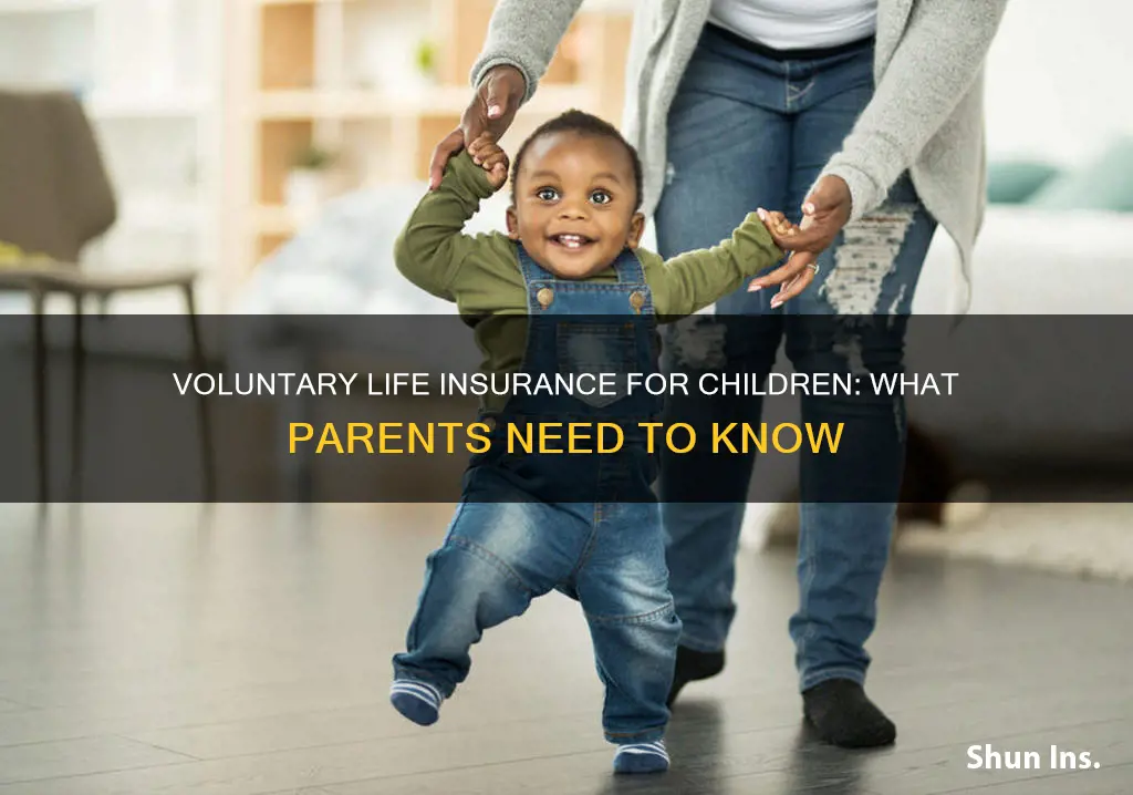 what is child voluntary life insurance