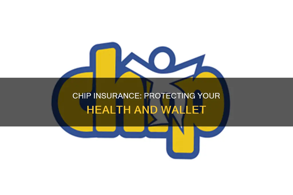 what is chip insurance