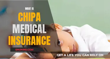 Understanding Chipa: Your Medical Insurance Companion