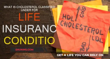 Cholesterol and Life Insurance: How Are They Classified Together?