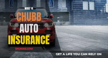 Chubb Auto Insurance: What You Need to Know