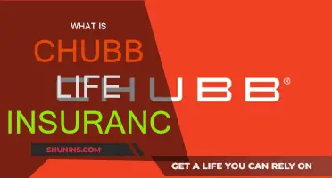 Chubb Life Insurance: What You Need to Know