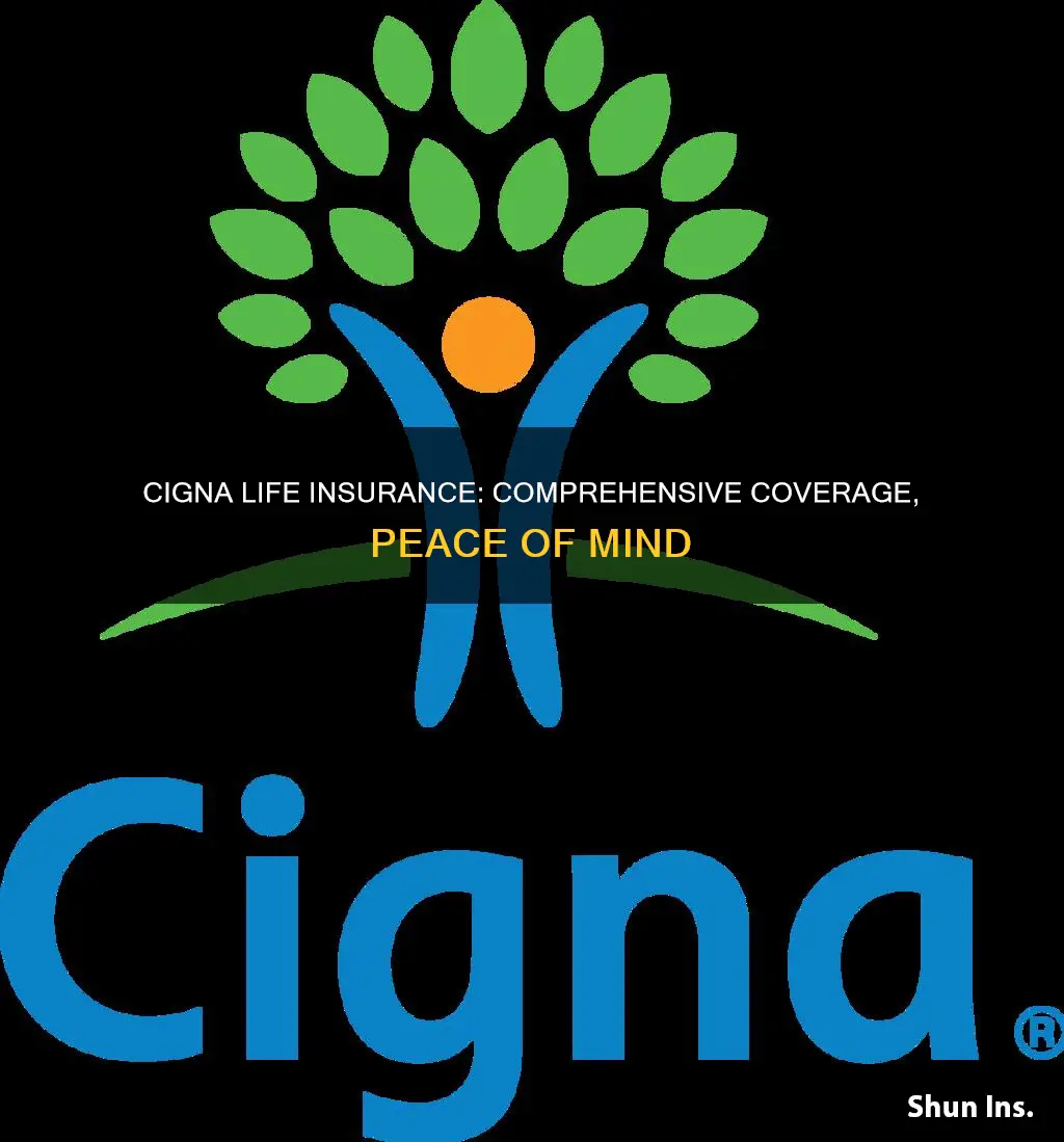 what is cigna life insurance