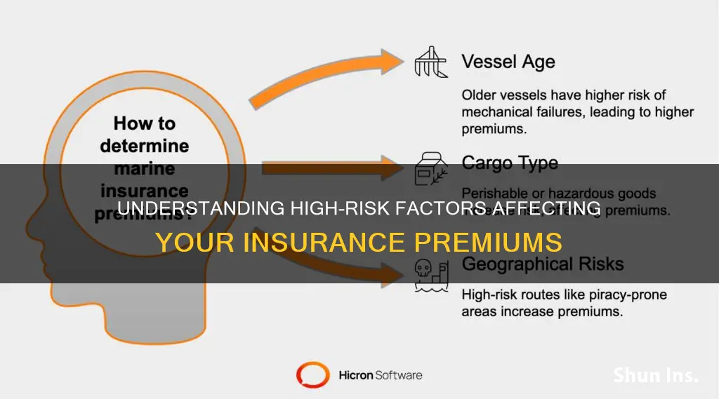 what is cinsidered high risk points for insurance