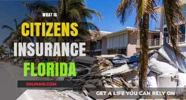 Florida Citizens Insurance: What You Need to Know