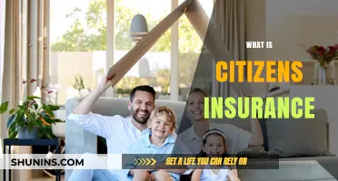 Understanding Citizens Insurance: Coverage, Benefits, and How It Works