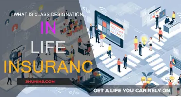 Understanding Life Insurance: Class Designation Explained