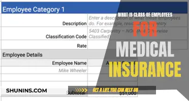 Understanding Employee Classes for Medical Insurance
