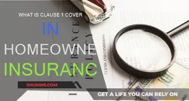 Homeowners Insurance: Understanding Clause 1 Coverage