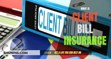 Unraveling the Mystery of Client Bill Insurance: A Comprehensive Guide