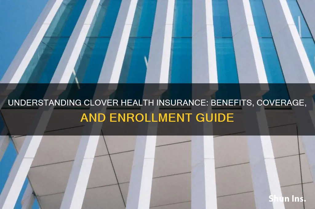 what is clover health insurance