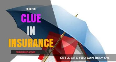 Understanding Clue Reports: How They Impact Your Insurance Premiums