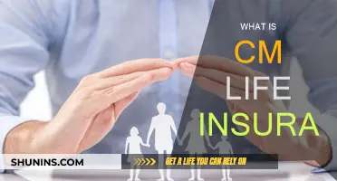 Life Insurance Simplified: CM Insurance Explained