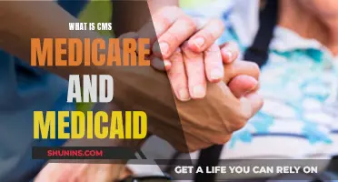 Understanding CMS: Medicare and Medicaid Simplified