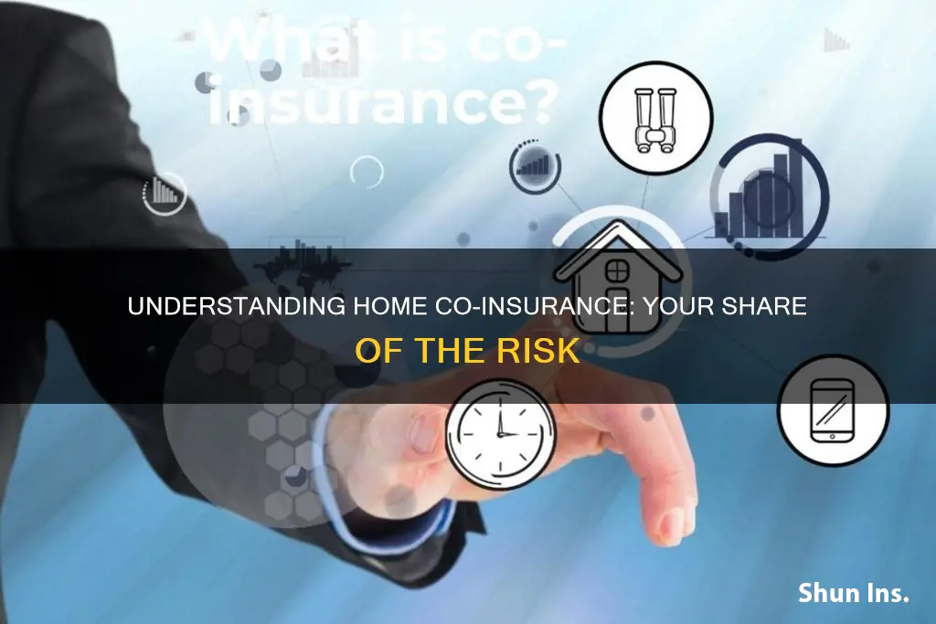 what is co-insurance for a house