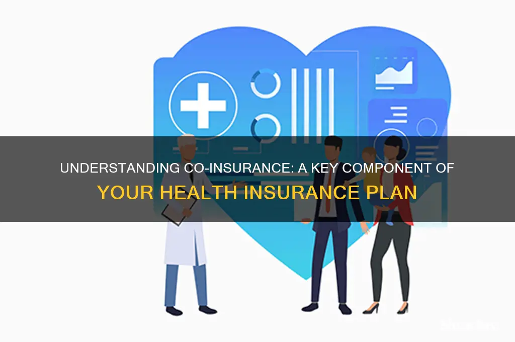 what is co-insurance for health insurance