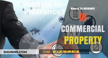 Understanding Commercial Property Co-Insurance: Protecting Your Assets