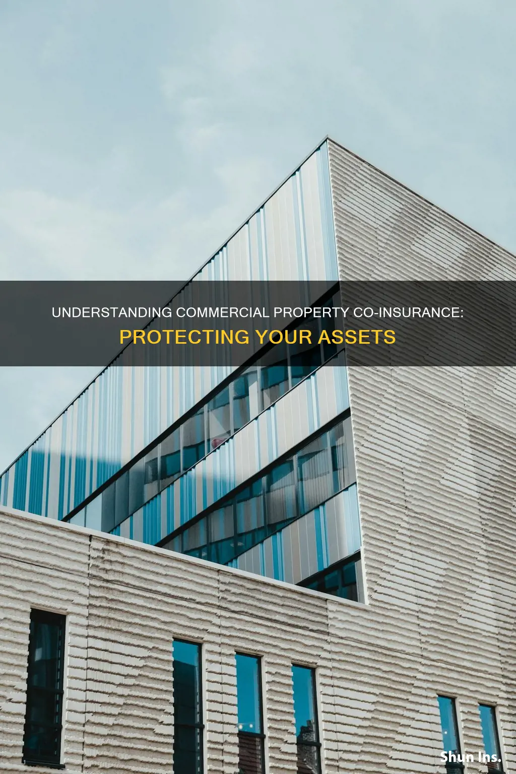 what is co-insurance in commercial property