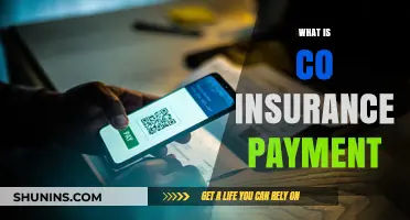 Understanding Co-Insurance Payments and Your Healthcare Costs